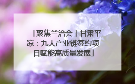 聚焦兰洽会丨甘肃平凉：九大产业链签约项目赋能高质量发展
