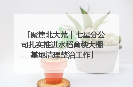 聚焦北大荒｜七星分公司扎实推进水稻育秧大棚基地清理整治工作