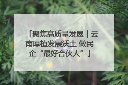 聚焦高质量发展｜云南厚植发展沃土 做民企“最好合伙人”