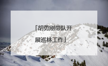 胡勇刚带队开展巡林工作