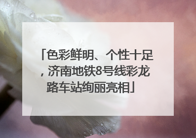 色彩鲜明、个性十足，济南地铁8号线彩龙路车站绚丽亮相