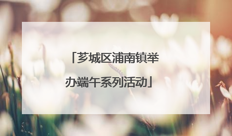 芗城区浦南镇举办端午系列活动