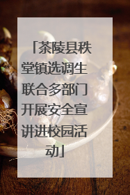 茶陵县秩堂镇选调生联合多部门开展安全宣讲进校园活动
