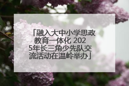 融入大中小学思政教育一体化 2025年长三角少先队交流活动在温岭举办