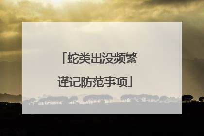 蛇类出没频繁 谨记防范事项