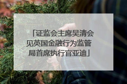 证监会主席吴清会见英国金融行为监管局首席执行官亚迪