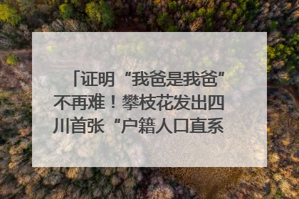 证明“我爸是我爸”不再难！攀枝花发出四川首张“户籍人口直系亲属关系谱”