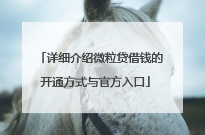 详细介绍微粒贷借钱的开通方式与官方入口