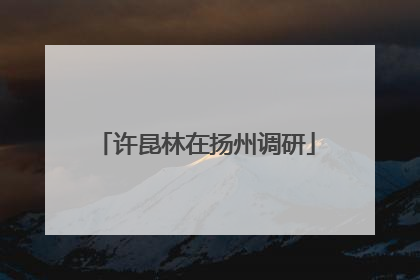 许昆林在扬州调研