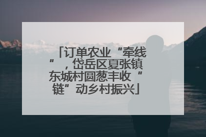 订单农业“牵线”，岱岳区夏张镇东城村圆葱丰收“链”动乡村振兴