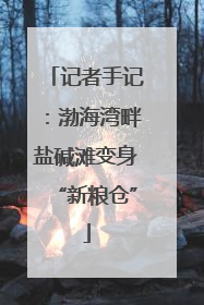 记者手记：渤海湾畔盐碱滩变身“新粮仓”
