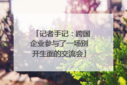 记者手记：跨国企业参与了一场别开生面的交流会