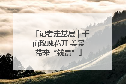 记者走基层｜千亩玫瑰花开 美景带来“钱景”