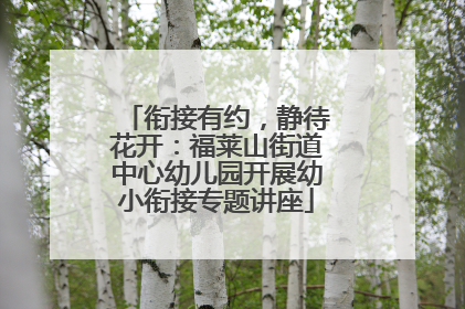 衔接有约，静待花开：福莱山街道中心幼儿园开展幼小衔接专题讲座