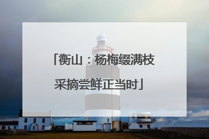 衡山：杨梅缀满枝 采摘尝鲜正当时
