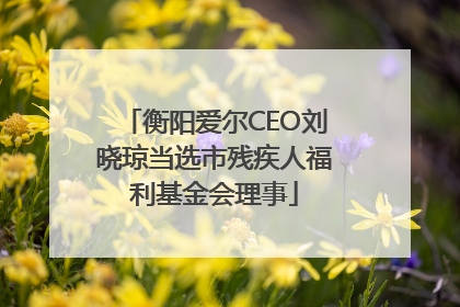 衡阳爱尔CEO刘晓琼当选市残疾人福利基金会理事