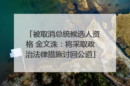 被取消总统候选人资格 金文洙：将采取政治法律措施讨回公道