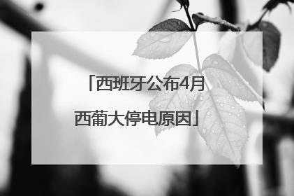西班牙公布4月西葡大停电原因