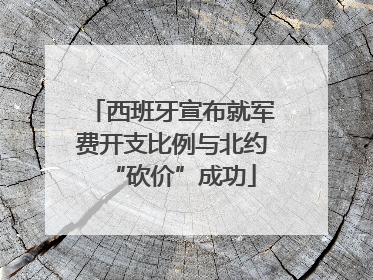 西班牙宣布就军费开支比例与北约“砍价”成功