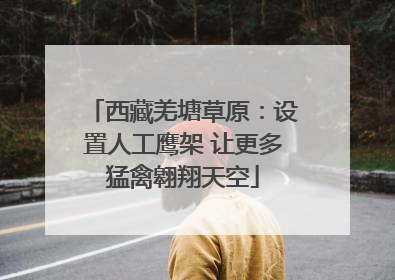 西藏羌塘草原：设置人工鹰架 让更多猛禽翱翔天空