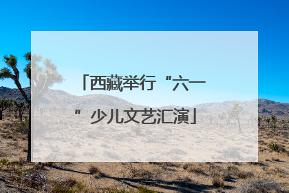 西藏举行“六一”少儿文艺汇演