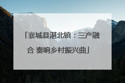 襄城县湛北镇：三产融合 奏响乡村振兴曲
