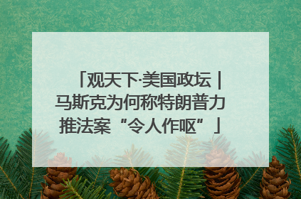 观天下·美国政坛｜马斯克为何称特朗普力推法案“令人作呕”
