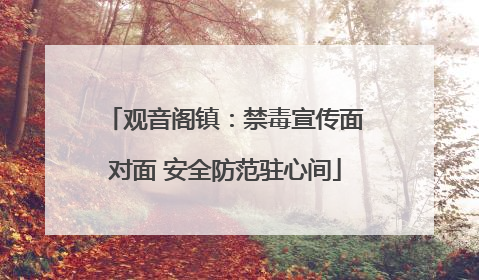 观音阁镇：禁毒宣传面对面 安全防范驻心间
