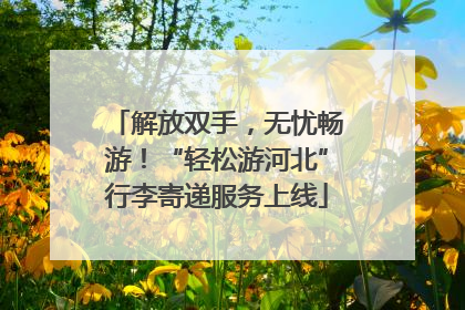 解放双手，无忧畅游！“轻松游河北”行李寄递服务上线