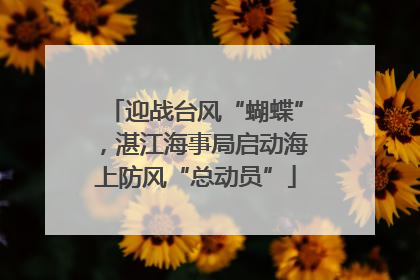 迎战台风“蝴蝶”，湛江海事局启动海上防风“总动员”