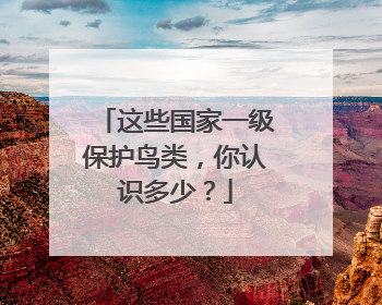 这些国家一级保护鸟类，你认识多少？