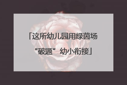 这所幼儿园用绿茵场“破题”幼小衔接