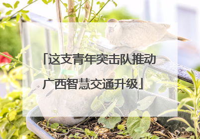 这支青年突击队推动广西智慧交通升级