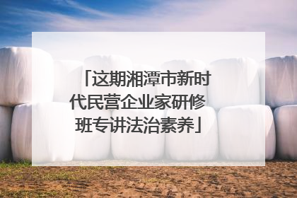 这期湘潭市新时代民营企业家研修班专讲法治素养