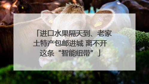 进口水果隔天到、老家土特产包邮进城 离不开这条“智能纽带”