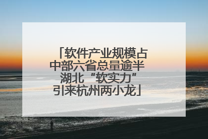 软件产业规模占中部六省总量逾半 湖北“软实力”引来杭州两小龙