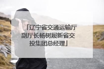 辽宁省交通运输厅副厅长杨树履新省交投集团总经理