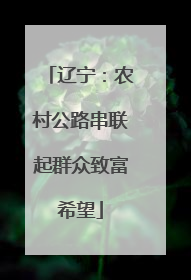 辽宁：农村公路串联起群众致富希望