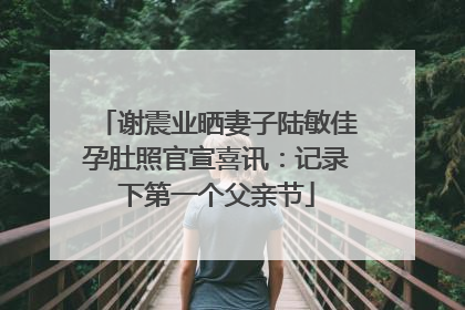 谢震业晒妻子陆敏佳孕肚照官宣喜讯：记录下第一个父亲节