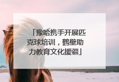 豫哈携手开展匹克球培训，鹤壁助力教育文化援疆