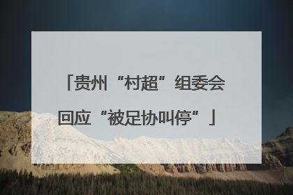 贵州“村超”组委会回应“被足协叫停”