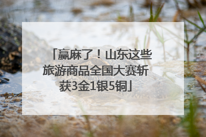 赢麻了！山东这些旅游商品全国大赛斩获3金1银5铜