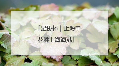 足协杯｜上海申花胜上海海港