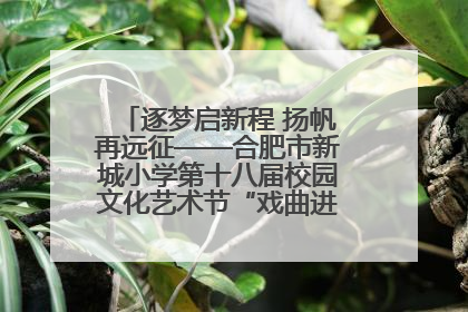 逐梦启新程 扬帆再远征——合肥市新城小学第十八届校园文化艺术节“戏曲进校园专场演出”