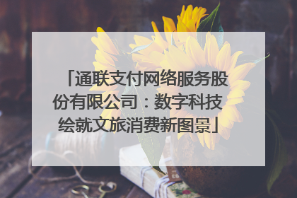 通联支付网络服务股份有限公司：数字科技绘就文旅消费新图景