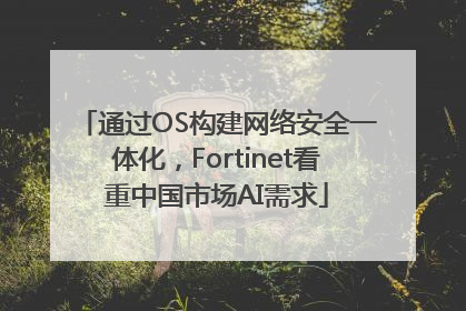 通过OS构建网络安全一体化，Fortinet看重中国市场AI需求