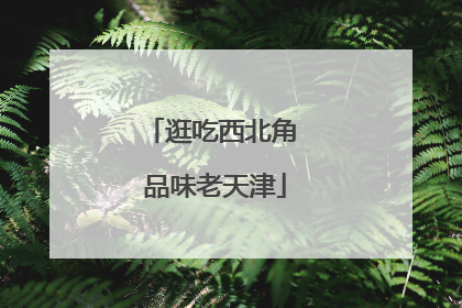 逛吃西北角 品味老天津