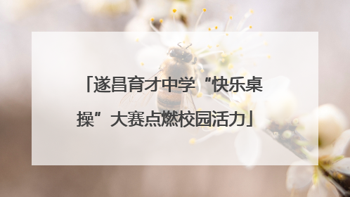 遂昌育才中学“快乐桌操”大赛点燃校园活力
