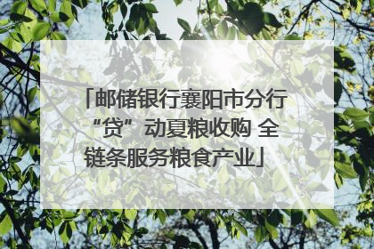 邮储银行襄阳市分行“贷”动夏粮收购 全链条服务粮食产业