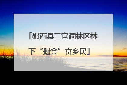 郧西县三官洞林区林下“掘金”富乡民